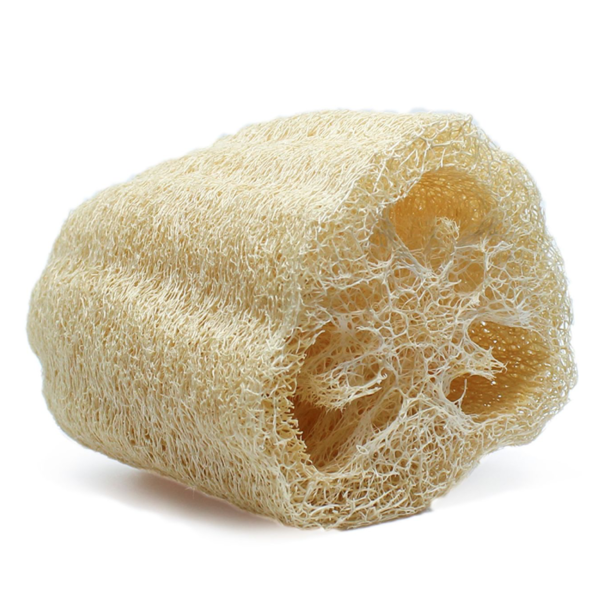 Luffa Szivacs